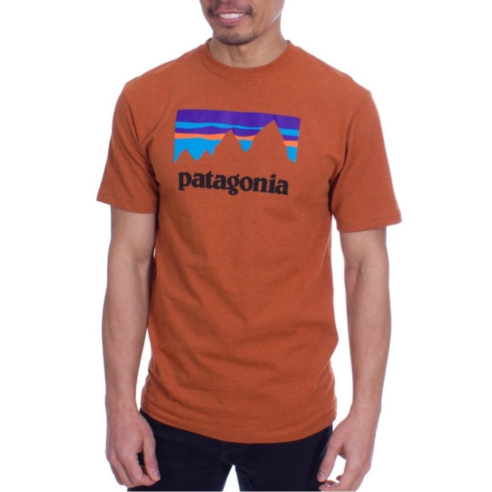 Patagonia Mens Responsibili-Tee Big Logo Cotton T-Shirt Copper Ore Orange Size M - Picture 2 of 4